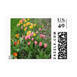 Tulips Pink Yellow Stamp