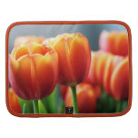 Tulips Planner