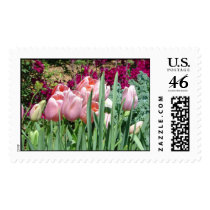 Tulips postage by titanic Tulips postage