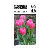 Tulips Postage
