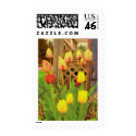Tulips postage by nmpics Tulips postage