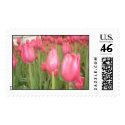 Tulips postage by wades1 Tulips postage