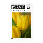Tulips stamp