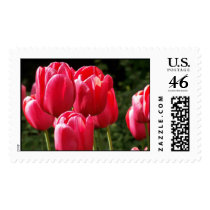 Tulips postage
