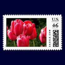 Tulips postage
