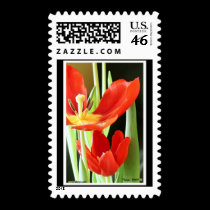 Tulips - Postage postage