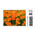 Tulips postage
