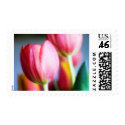 Tulips stamp