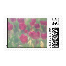 Tulips Postage Stamp stamps