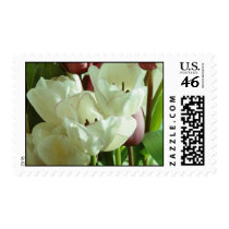 Tulips Postage Stamps