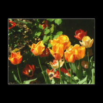 Tulips | Postcard by celtxian Tulips | Postcard