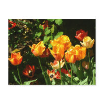 Tulips | Postcard