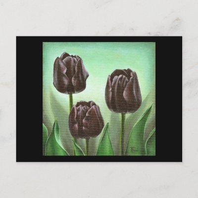Tulips Postcards