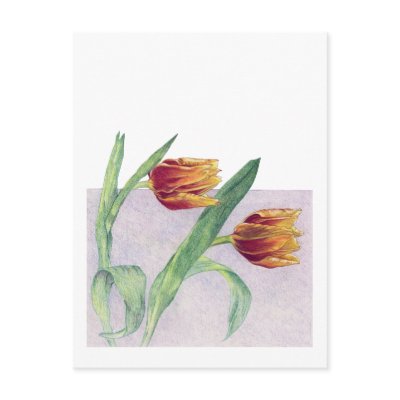 Tulips Postcard by floatinglemons
