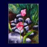 Tulips postcards