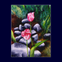 Tulips postcards