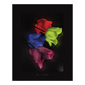 tulips posters by Malanda tulips posters