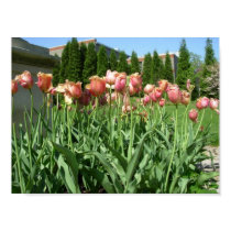 Tulips posters