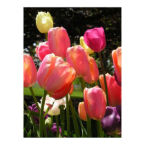 tulips posters