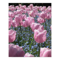 Tulips posters by irenap Tulips posters
