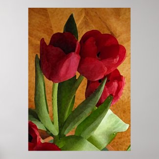 Tulips Posters