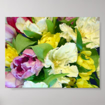 Tulips Poster