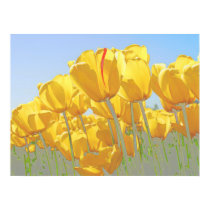 tulips posters