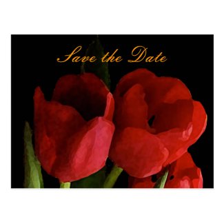 Tulips Save the Date Post Card