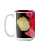 Tulips Says it All mug
