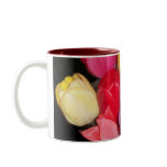 Tulips Says it All Mug