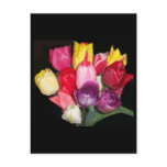 Tulips Says it All Postcards