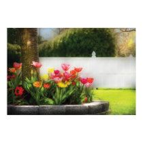 Tulips - Spring Tulips posters