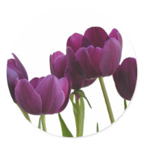 Tulips Sticker by Gilliand_Photo Tulips Sticker