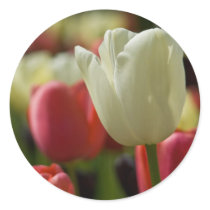 Tulips Sticker | Sticker Tulpen