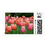 Tulips, tulips, tulips stamps