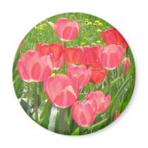 tulipsgarden magnets by jenniekurono tulipsgarden magnets