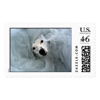 Tulle Dogdam stamp