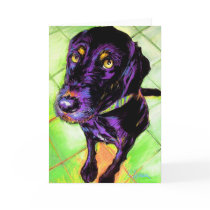 Tully cards by CTasman Tully cards