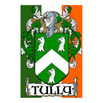 Tully Coat of Arms Irish Flag Print