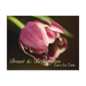 Tulpe • Save the Date Postkarte postcards
