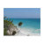 tropical, postcard, ocean, blue, palm, tree,