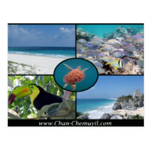 Tulum Vacation Rentals - Chan Chemuyil Post Card