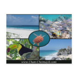 Tulum Vacation Rentals - Chan Chemuyil Post Card