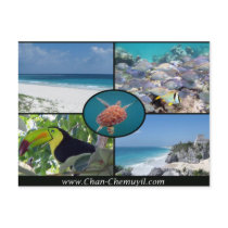 Tulum Vacation Rentals - Chan Chemuyil Post Card
