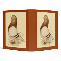 Tumbler Pigeon:  LFCL Mealy Binders