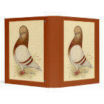 Tumbler Pigeon:  LFCL Mealy 3 Ring Binders