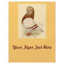 Tumbler Pigeon:  LFCL Mealy Flyers