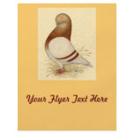 Tumbler Pigeon:  LFCL Mealy flyers