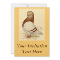 Tumbler Pigeon:  LFCL Mealy Personalized Invitations