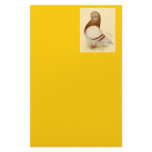 Tumbler Pigeon:  LFCL Mealy Personalized Stationery